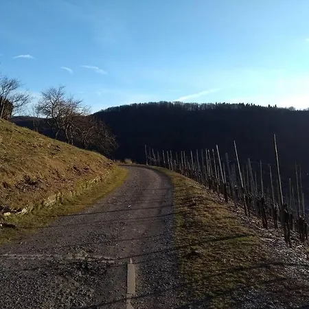 Hébergement de vacances Luxury In Cochem For 4 People